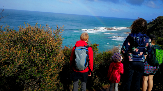 Overnight clearance hikes otways